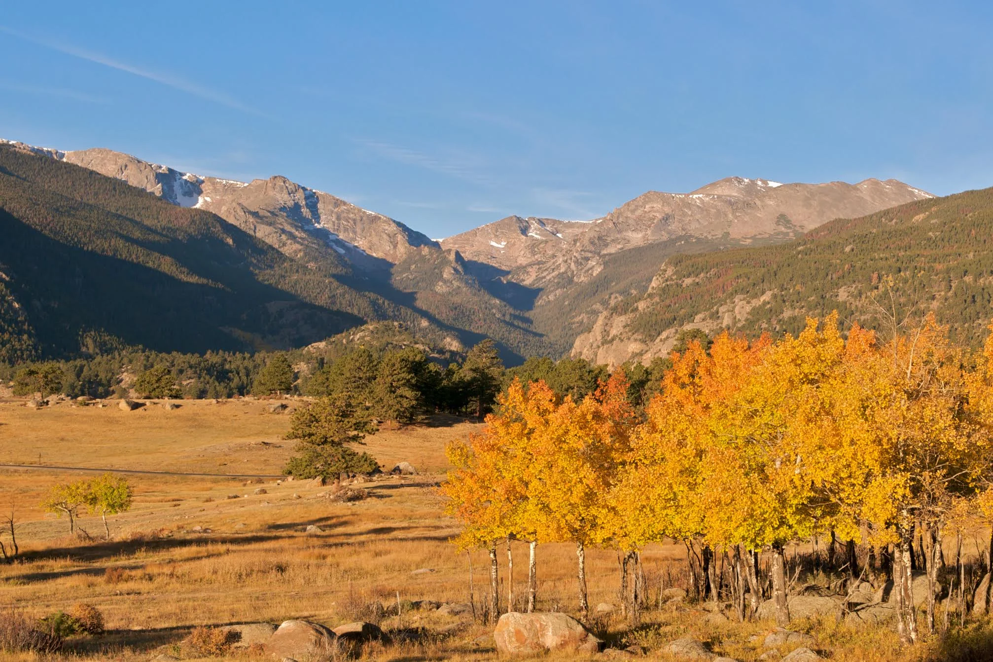 fall meadow.jpg