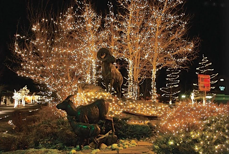sheep statues christmas.jpg
