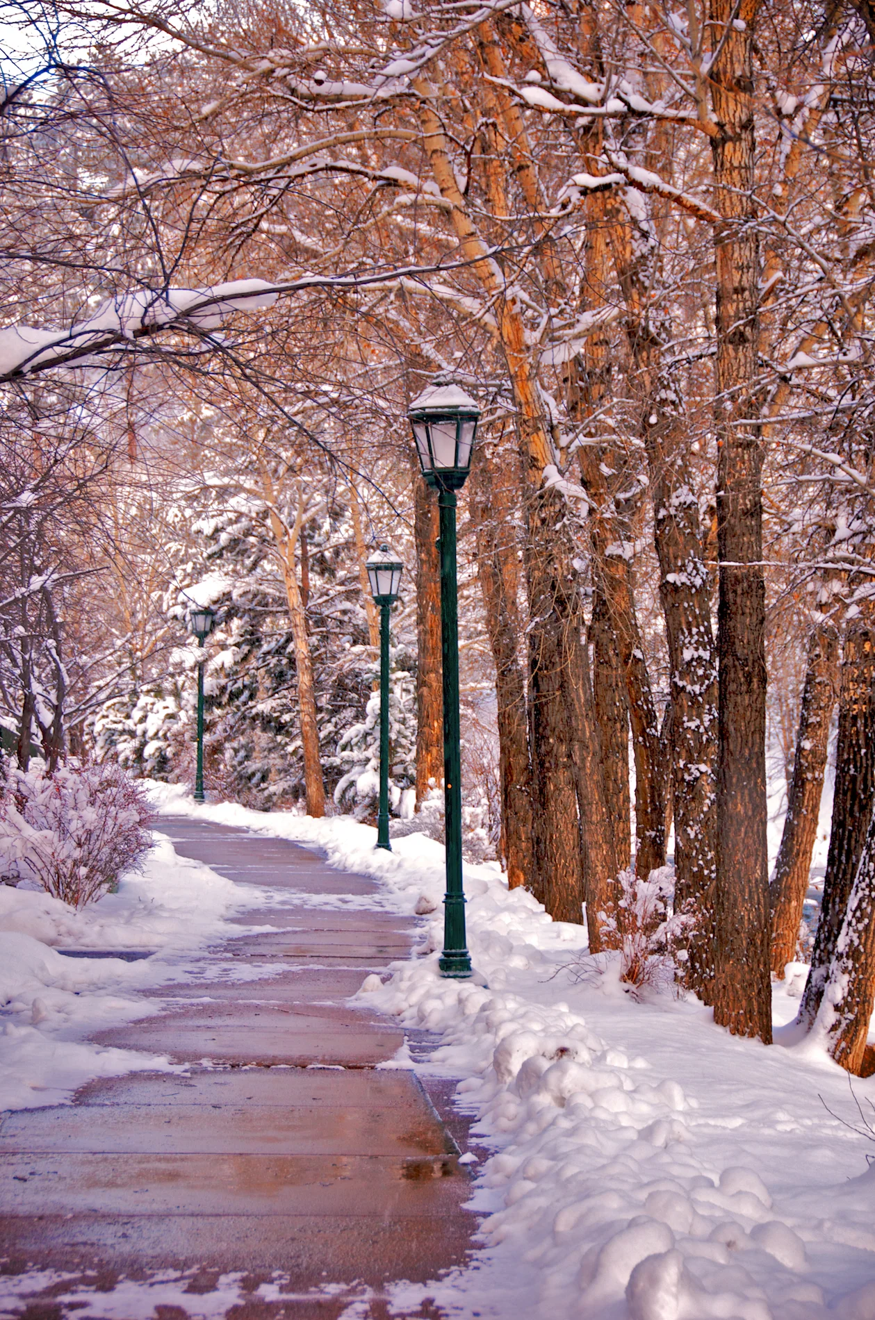 ER Evening Walk.jpg