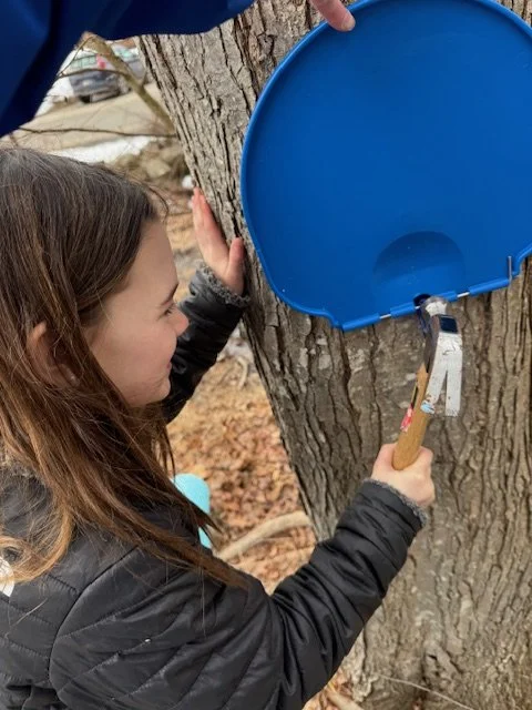 Maple sugaring 1.jpeg