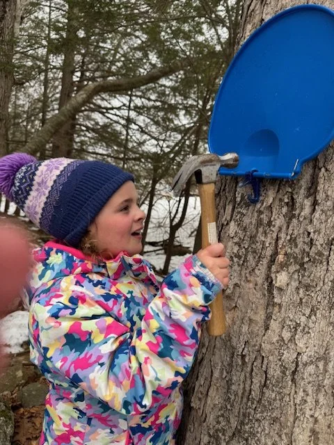 maple sugaring 3.jpeg