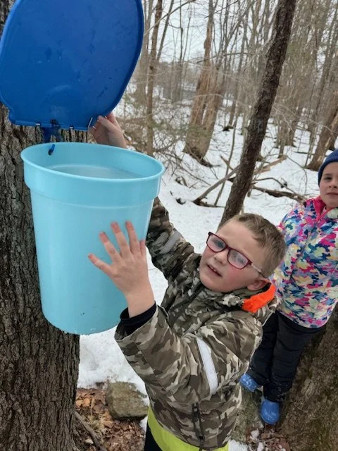 maple sugaring 5.jpeg