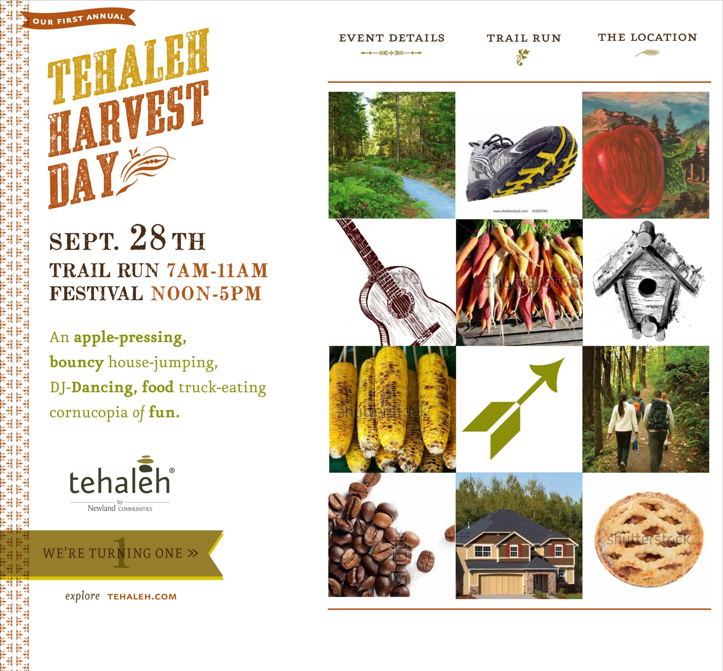 July 23_TEH_FF_Microsite_R6_P4-1.jpg