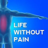 Bioflex life without pain.png