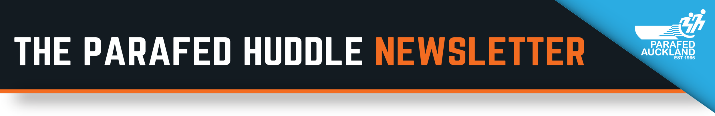 Newsletter header (1).png