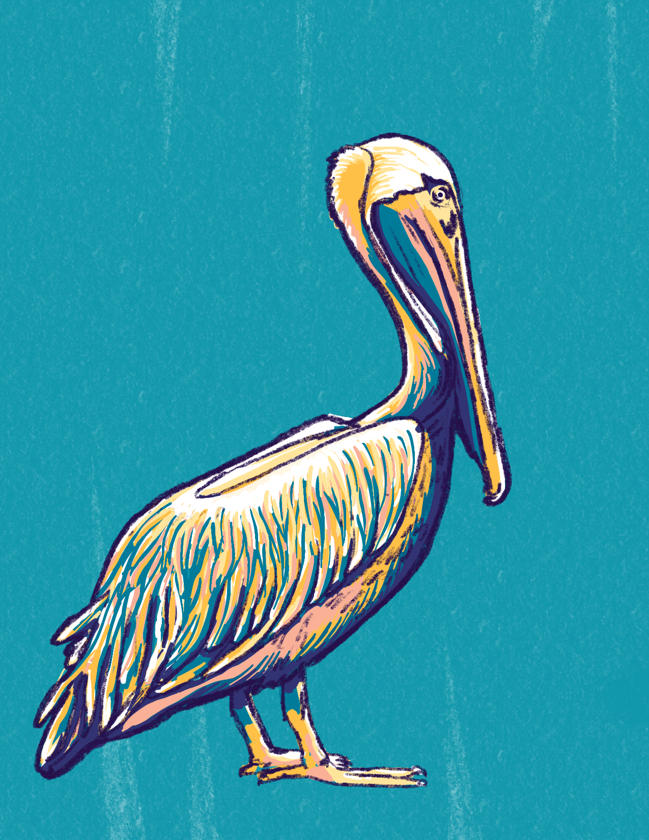 Untitled_Artwork 16.png