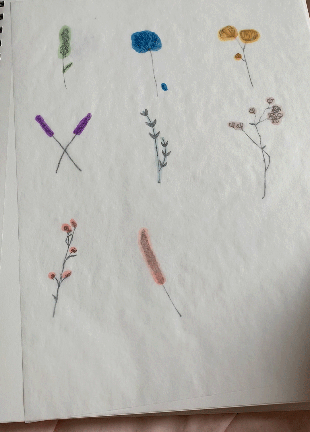 flower.gif