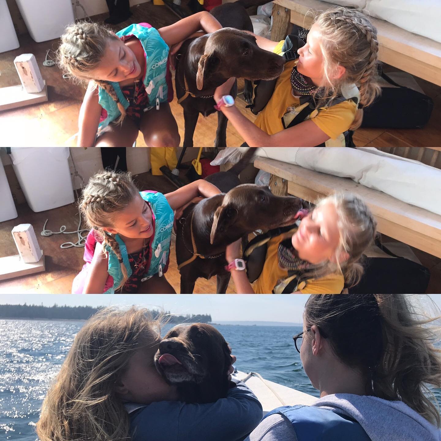 Lots of puppy love for Smelly at the LCYC! Beautiful day for sailing #seasalts