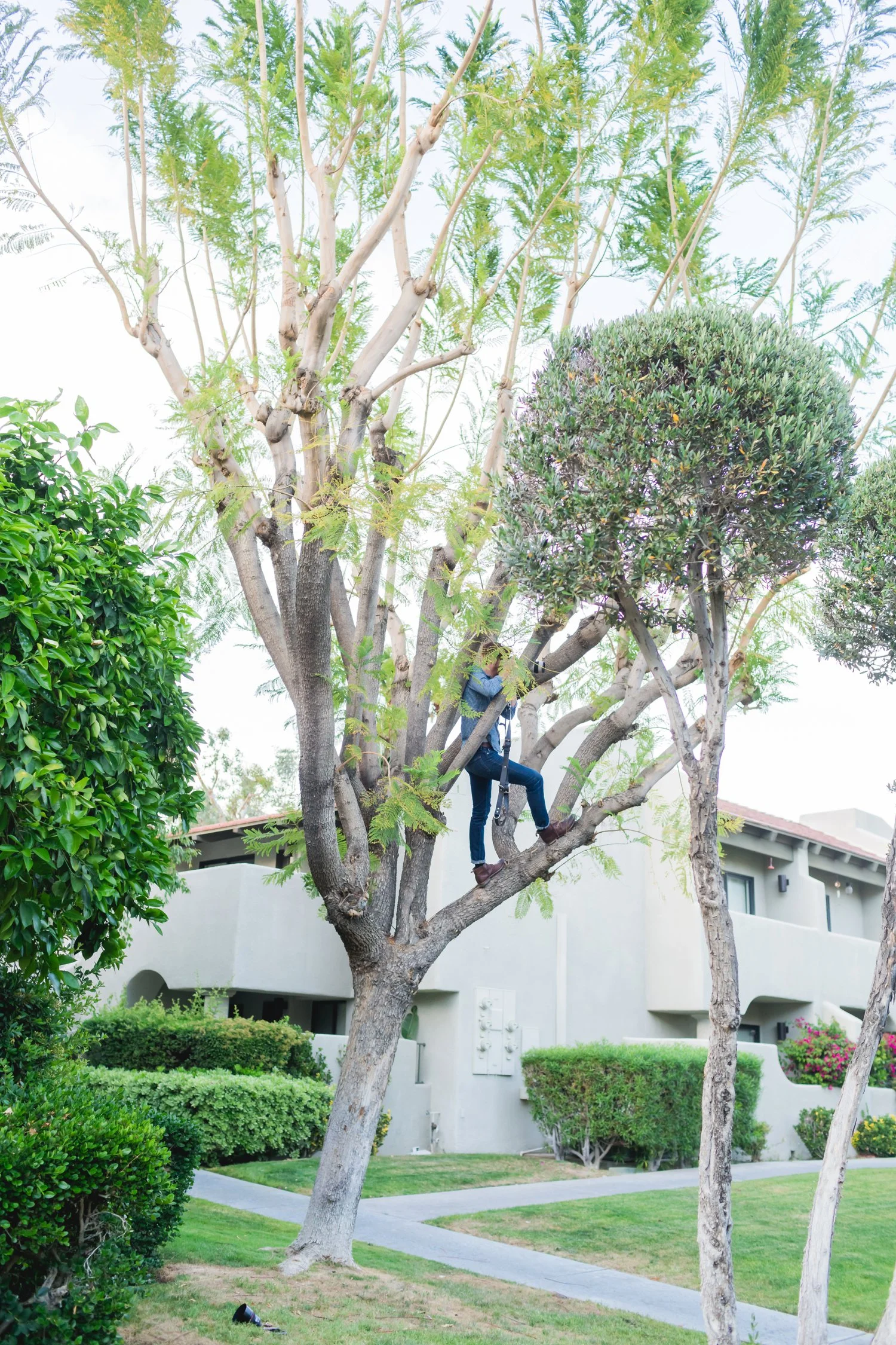 Plessis.2016.MonocleProject53_photography-palm-springs-LA-OC-SD-modern-photographer.jpg