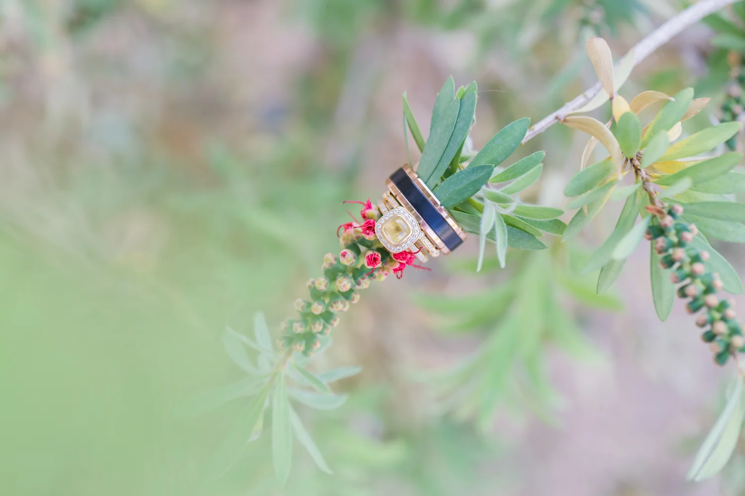 Jennifer.Adrian.Palm.Springs.Elopement.2017.MonocleProject-62.jpg