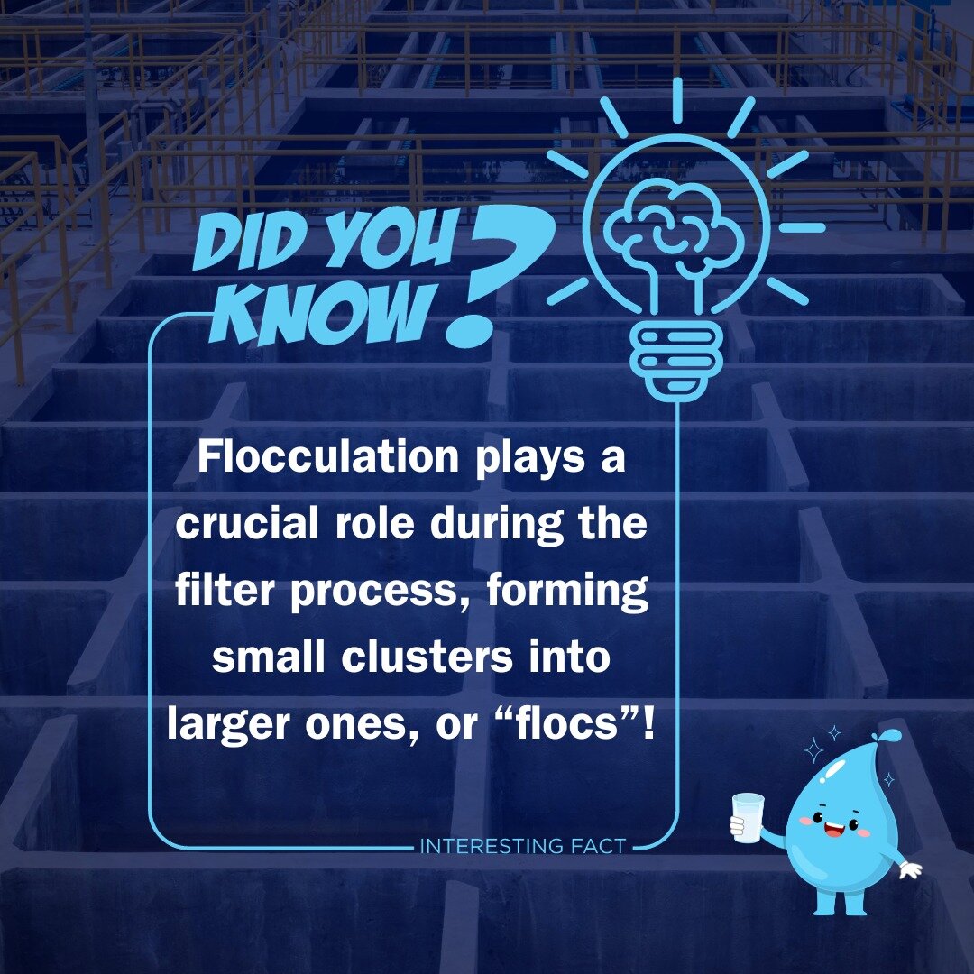 Did you know flocculation gives your water that extra sparkle?✨ During the water treatment process, it allows small particles to form into larger particles, making it easier for filters to do their job, and leaving us with crystal-clear water!💧
#Fun