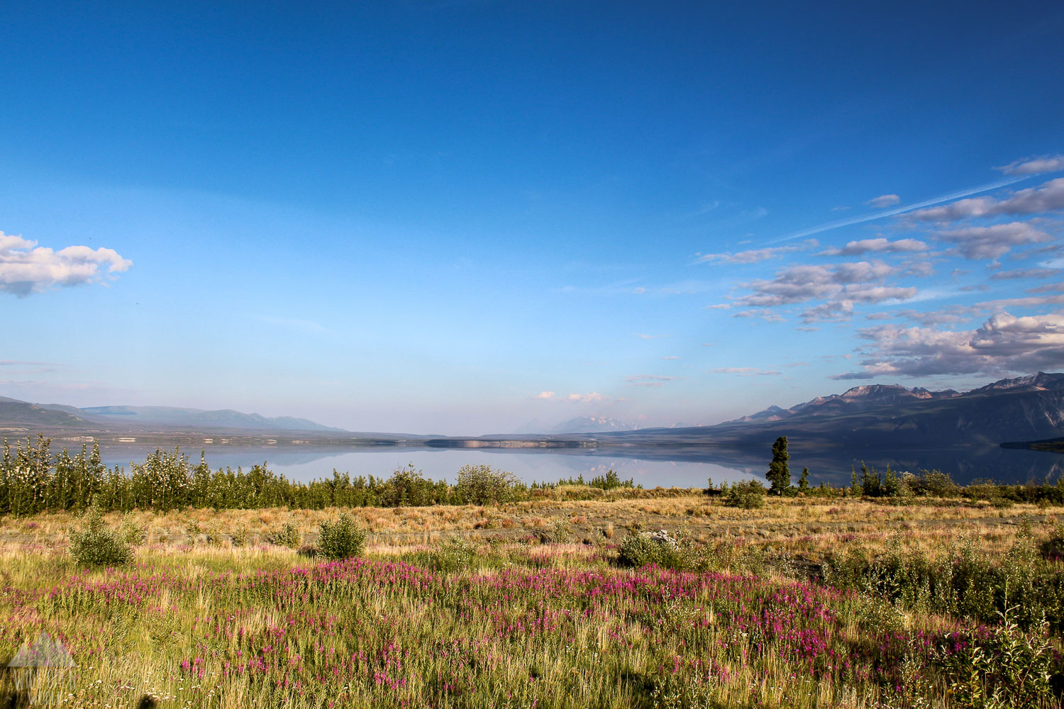 Kluane Lake 