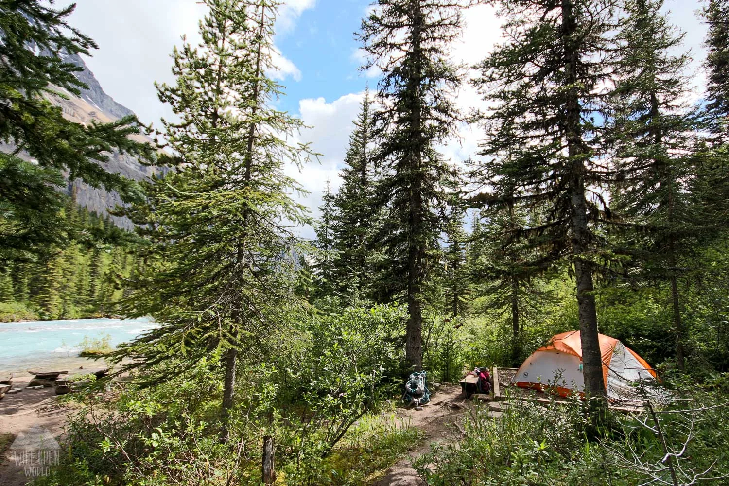 Tent pad at Emperor Falls campground.