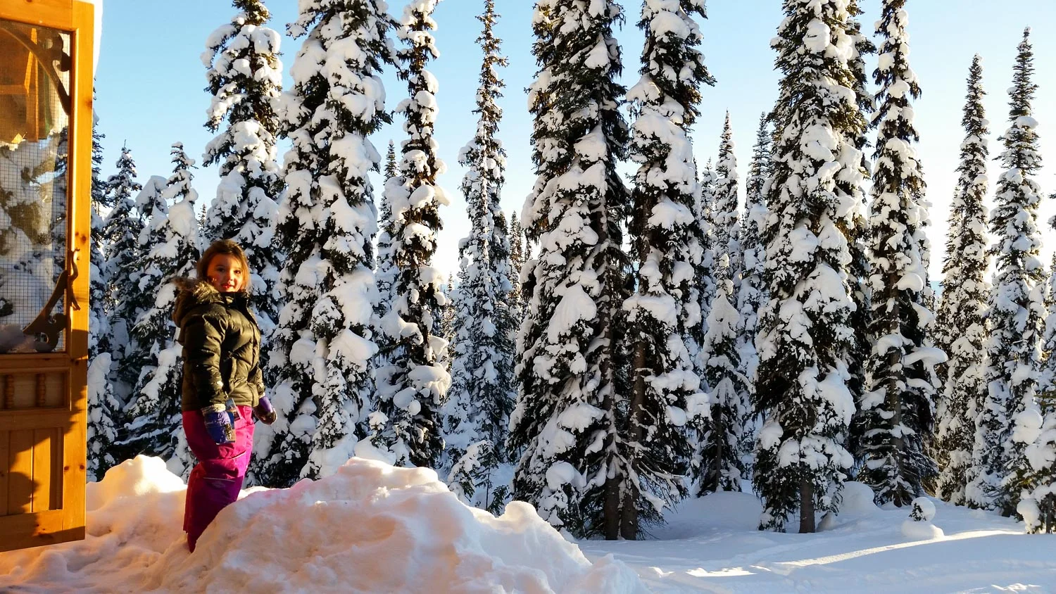 Golden hour at the cabin.