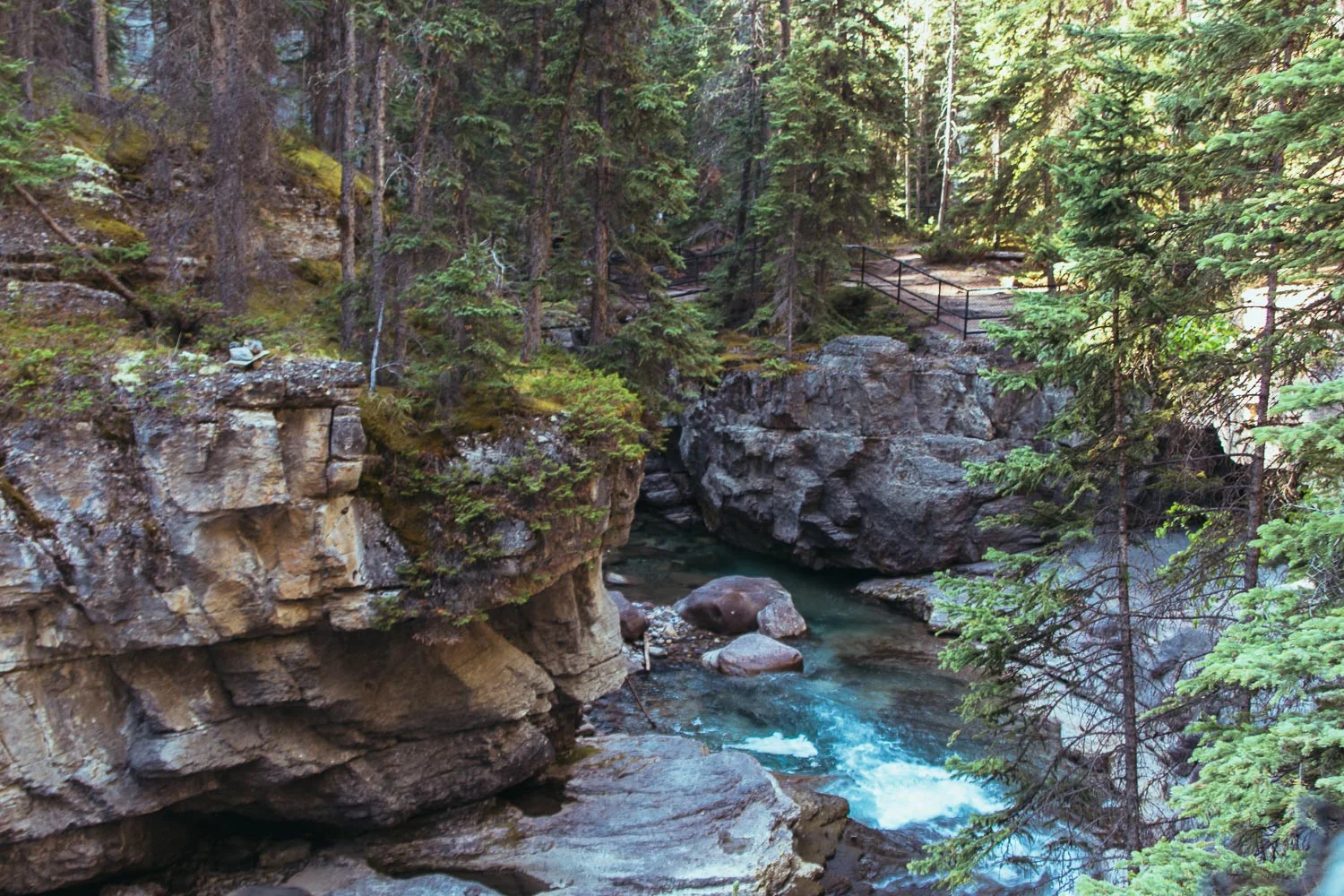 jasper-11.jpg