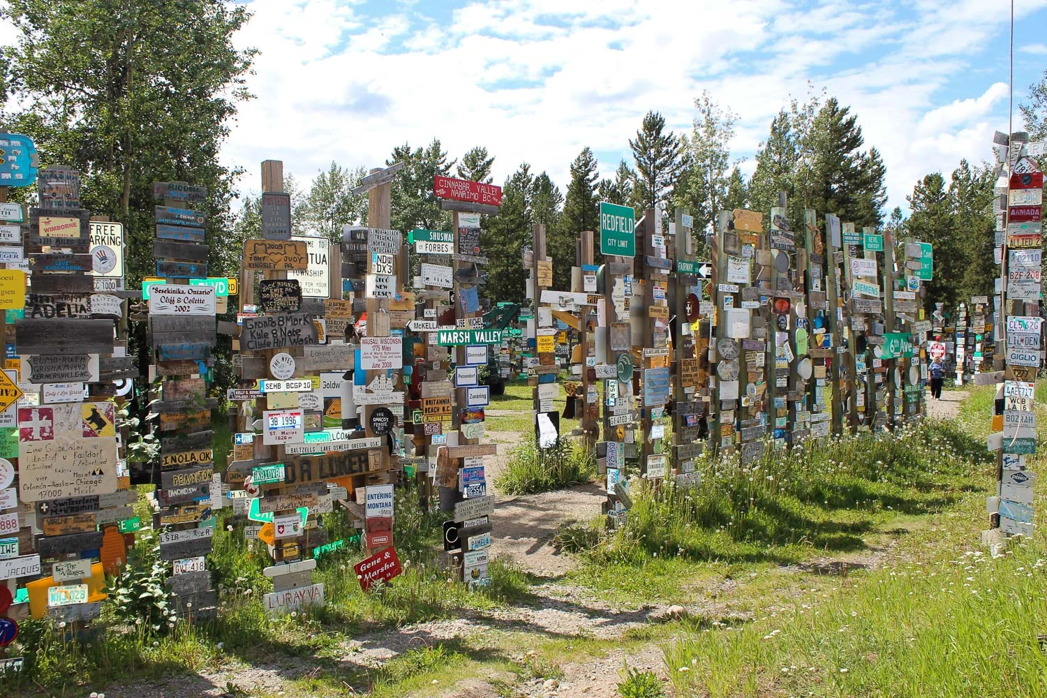 sign_post_forest.jpg