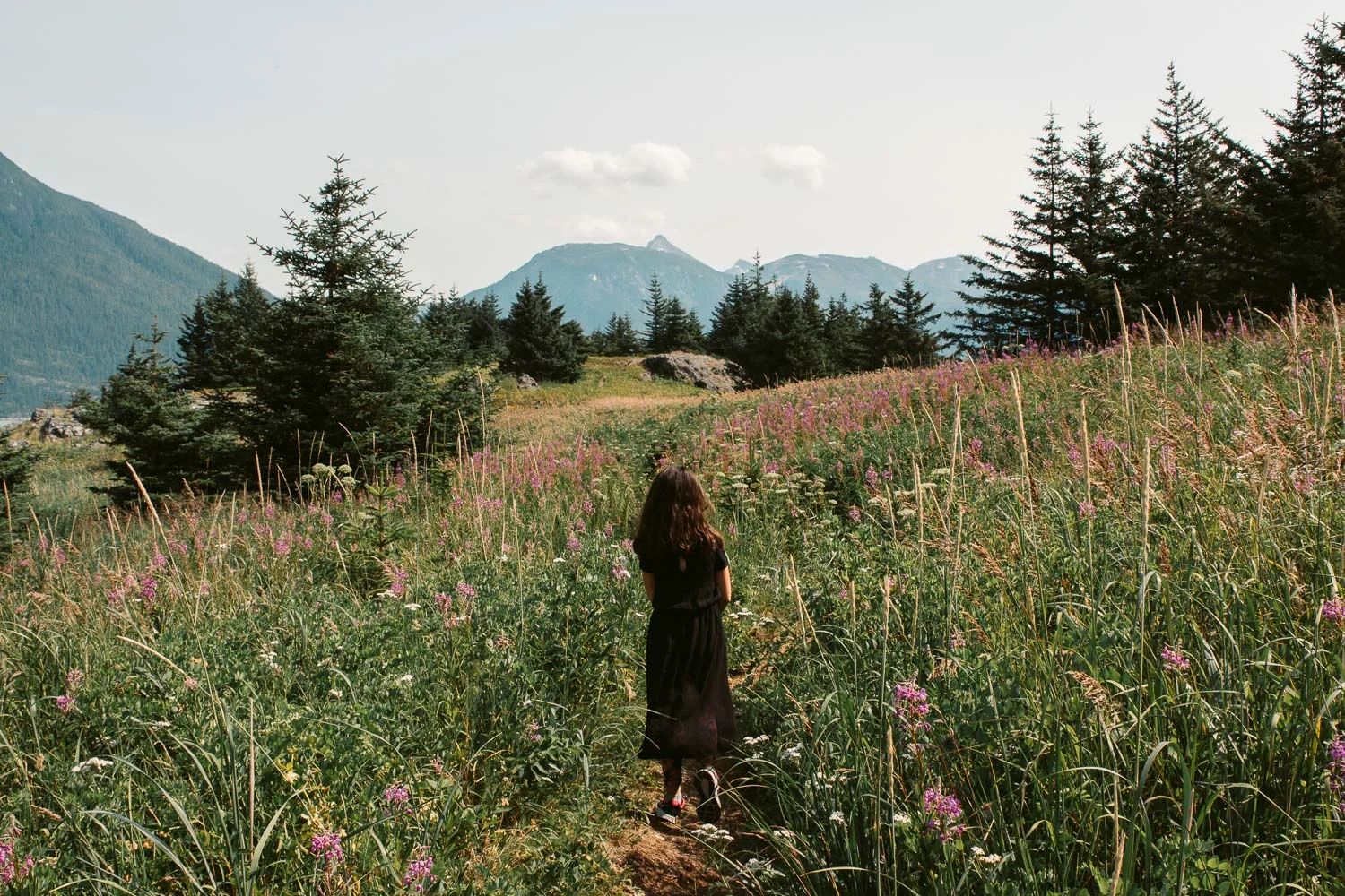 chilkat-state-park-hike.jpg
