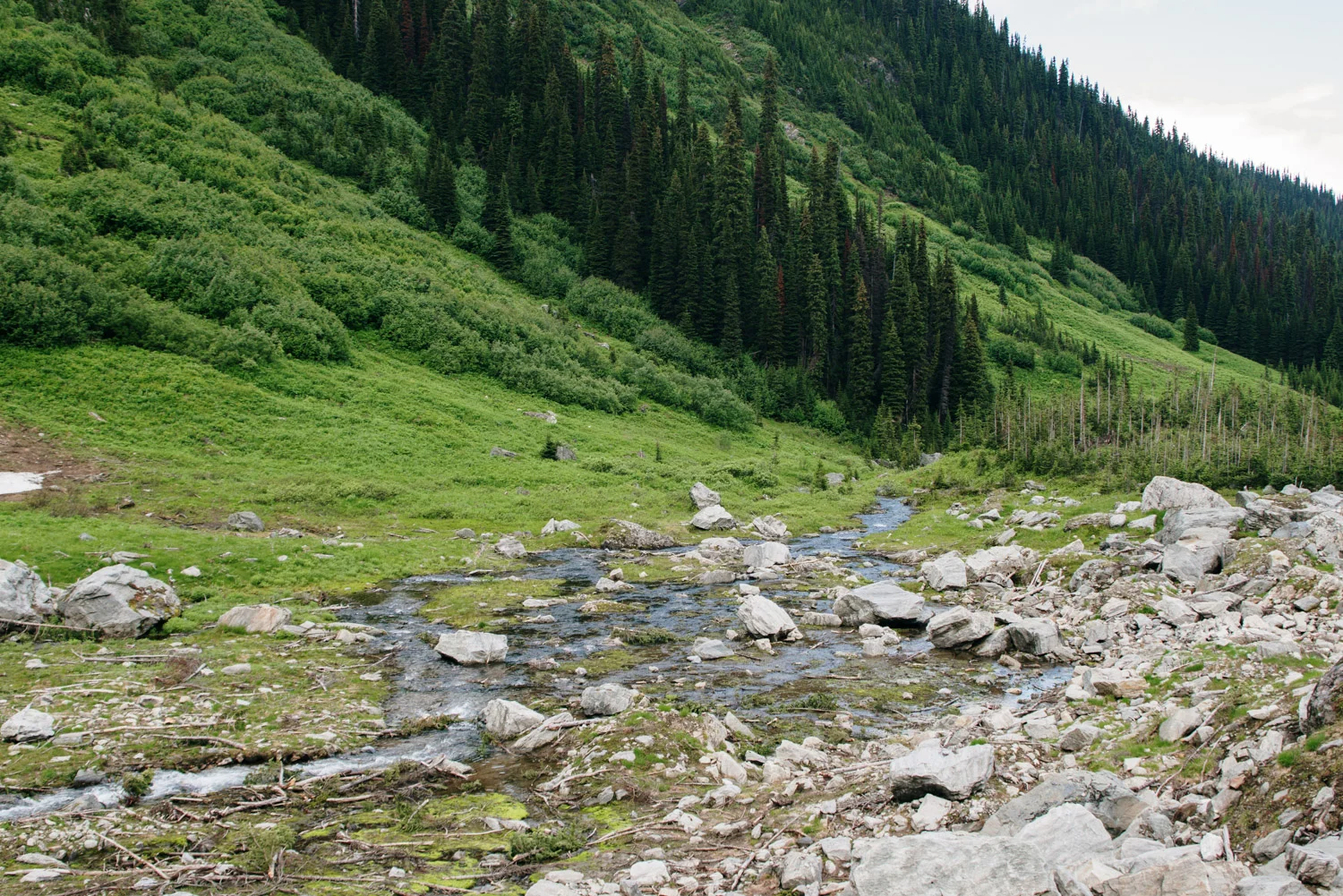 Trudeau-Mountain-20.jpg