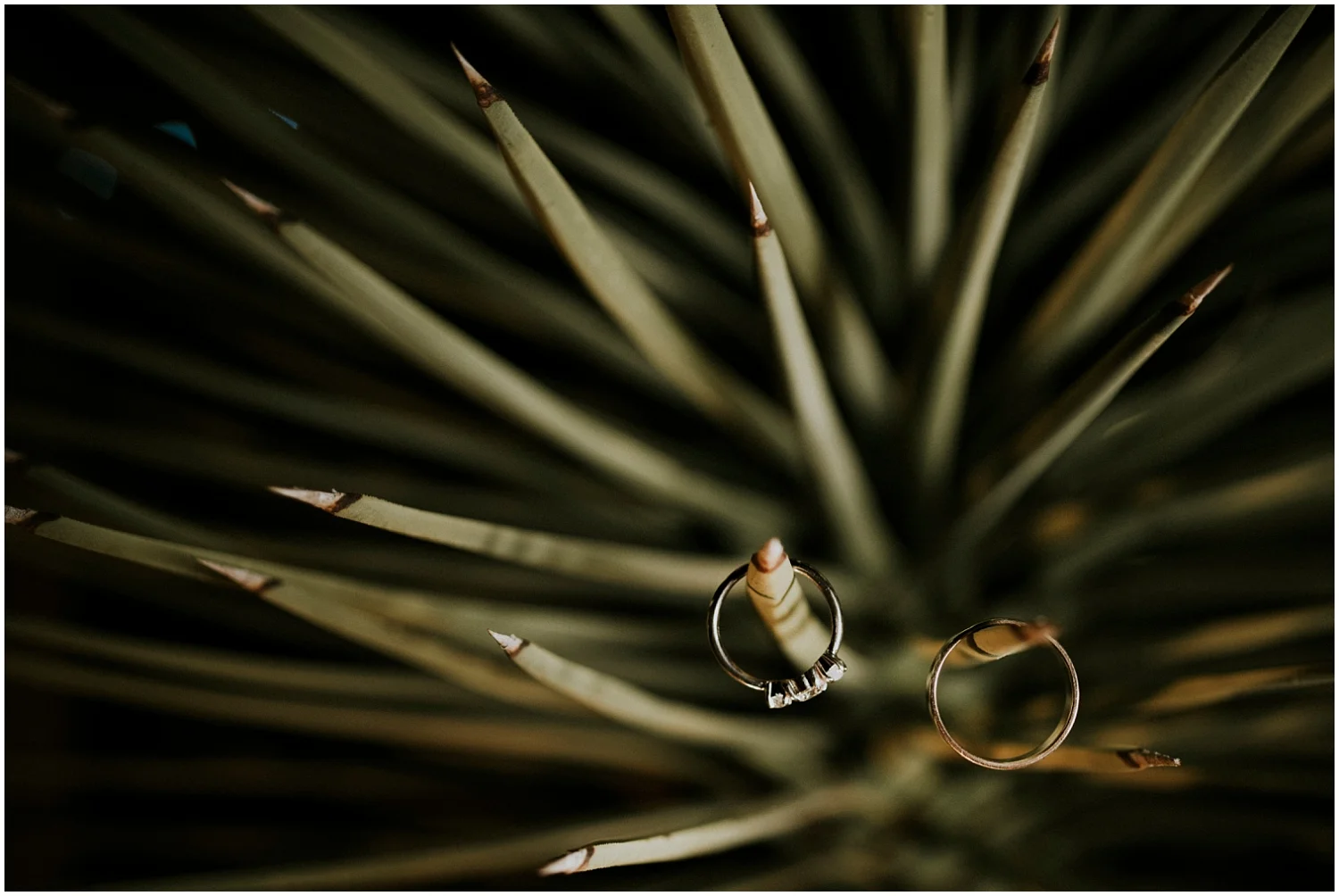 Joshua Tree Wedding 0057.jpg