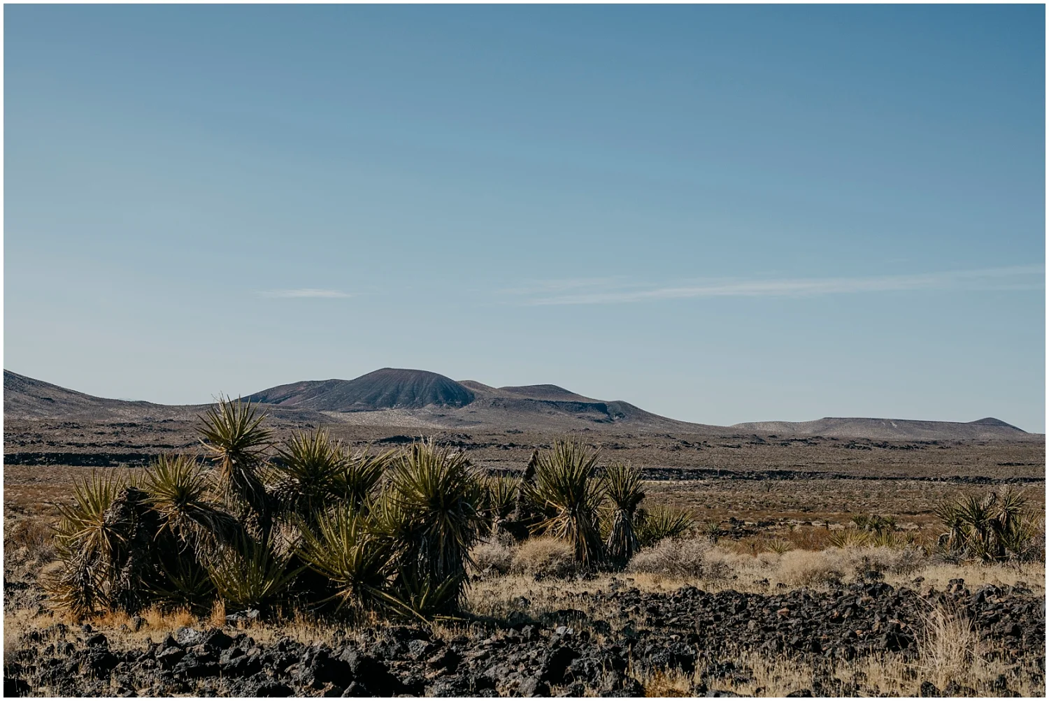 Mojave Desert Elopement (26).jpg