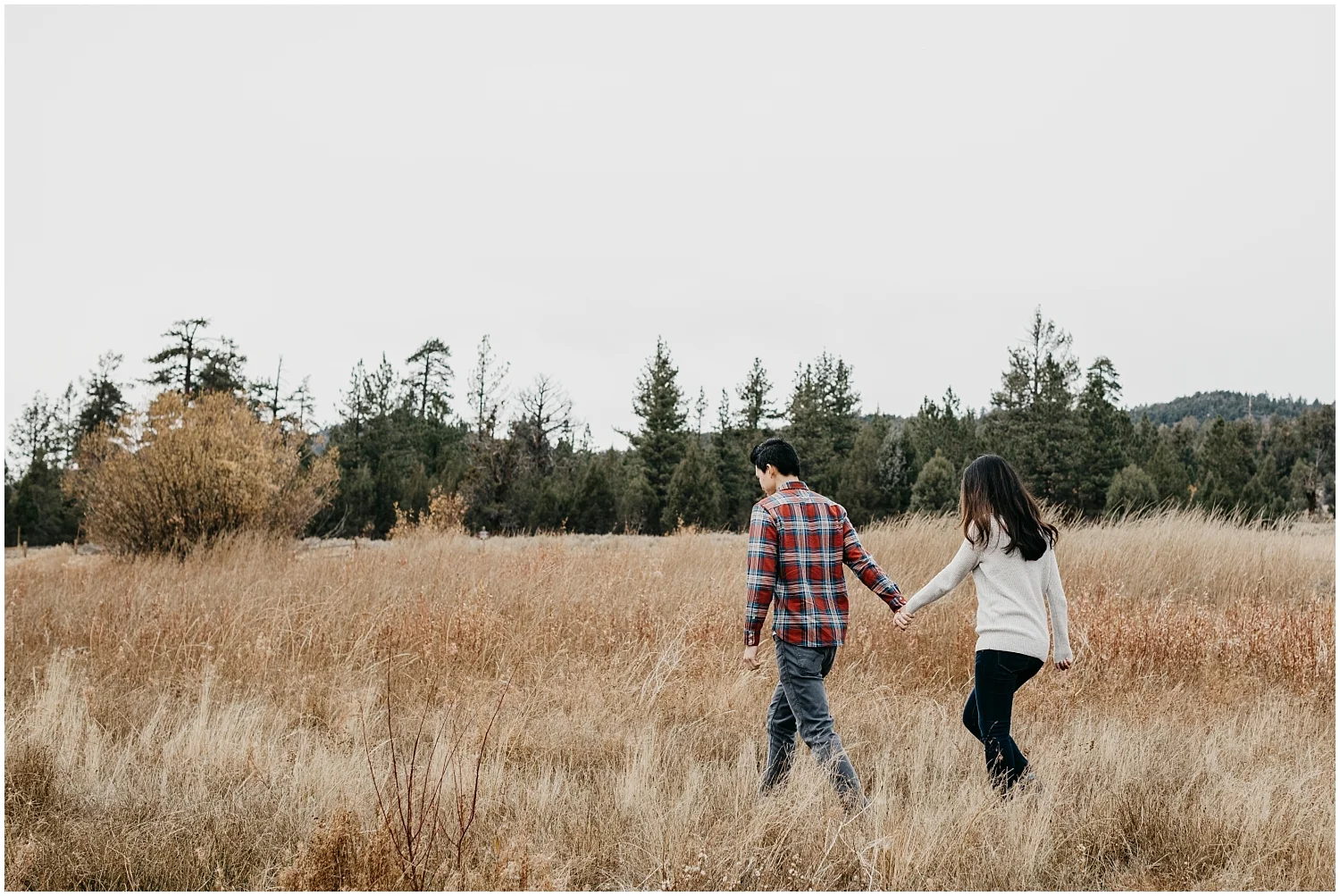 Big Bear Lake Engagement 006.jpg