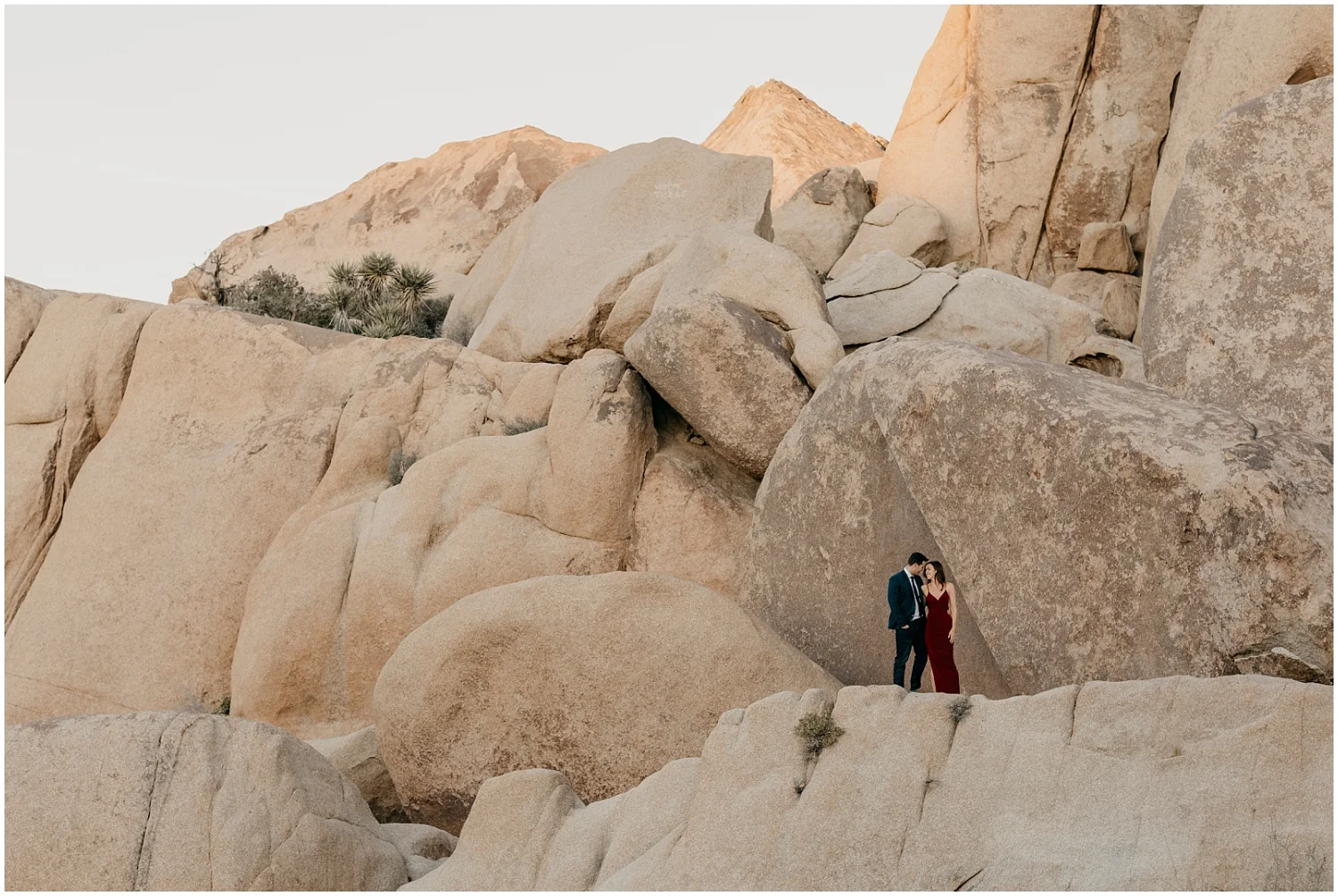 Joshua Tree Engagement 019.jpg