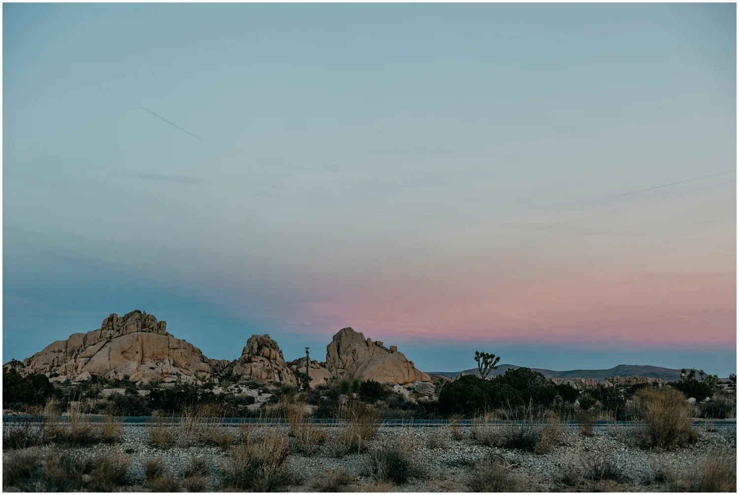 Joshua Tree Engagement 025.jpg