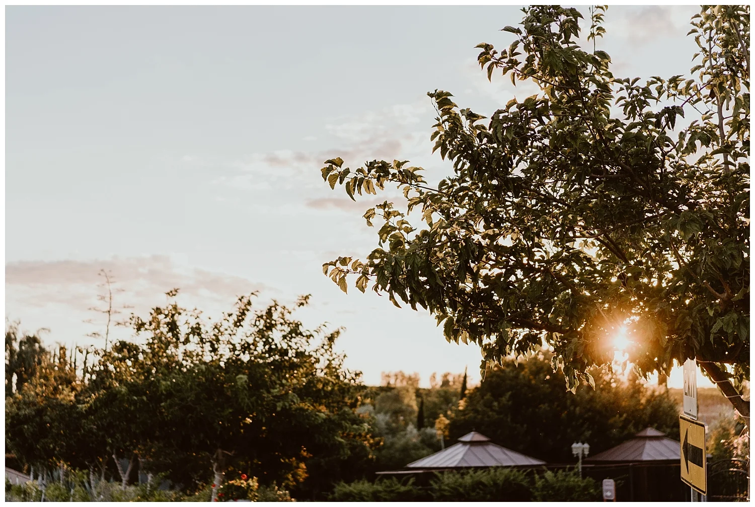 Mount Palomar Temecula Wedding 0104.jpg