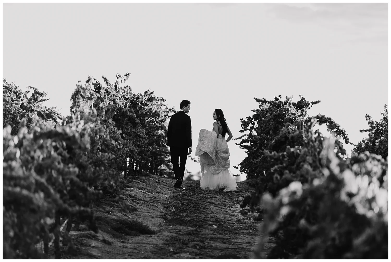 Mount Palomar Temecula Wedding 0105.jpg