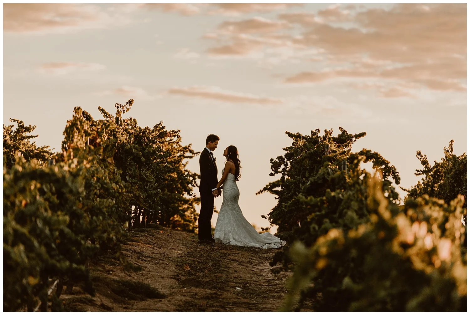 Mount Palomar Temecula Wedding 0106.jpg