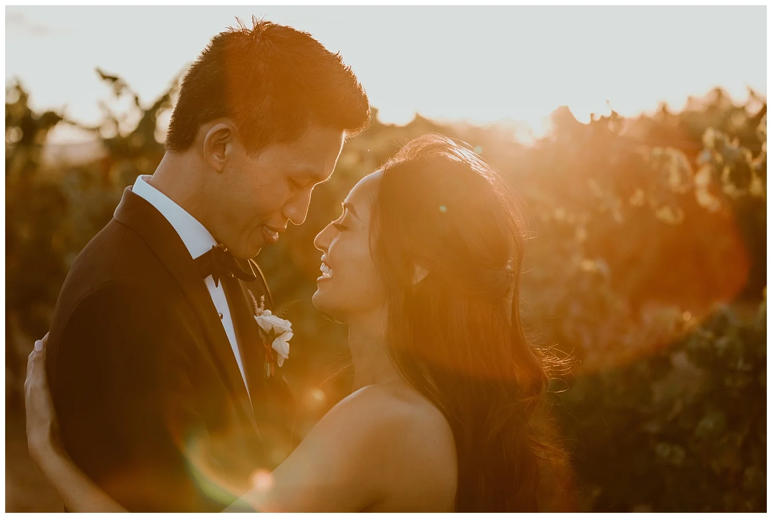 Mount Palomar Temecula Wedding 0110.jpg