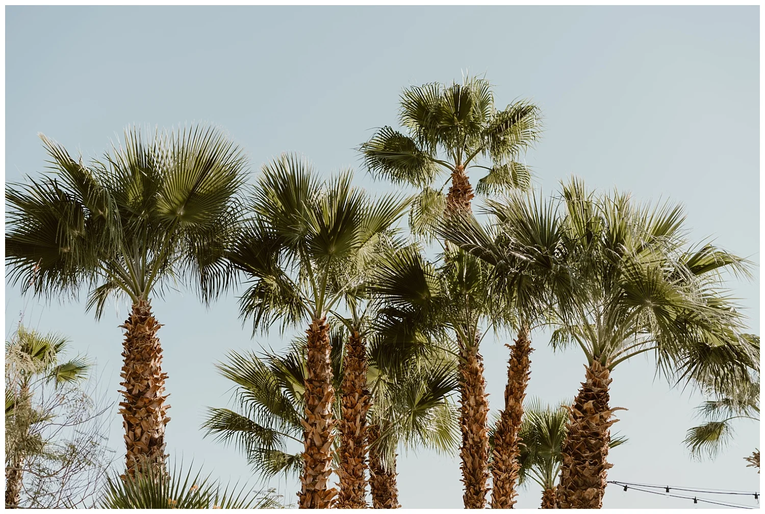 Desert Ridge Estate Wedding 0002.jpg