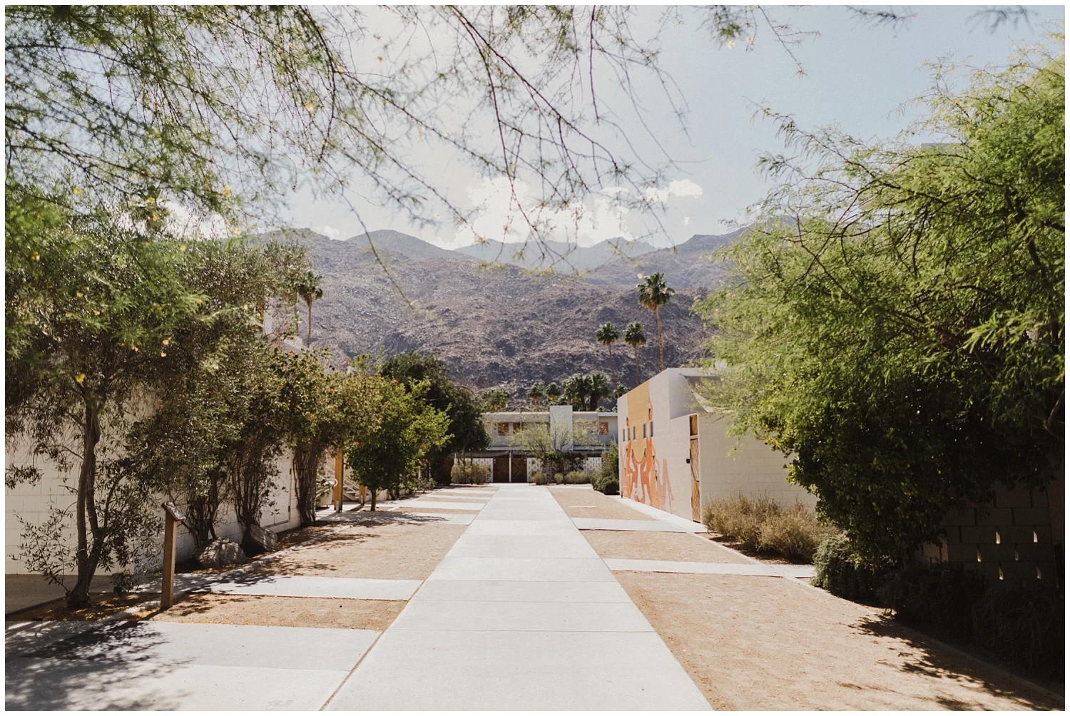 Ace-Hotel-Palm-Springs-Wedding 0001.jpg