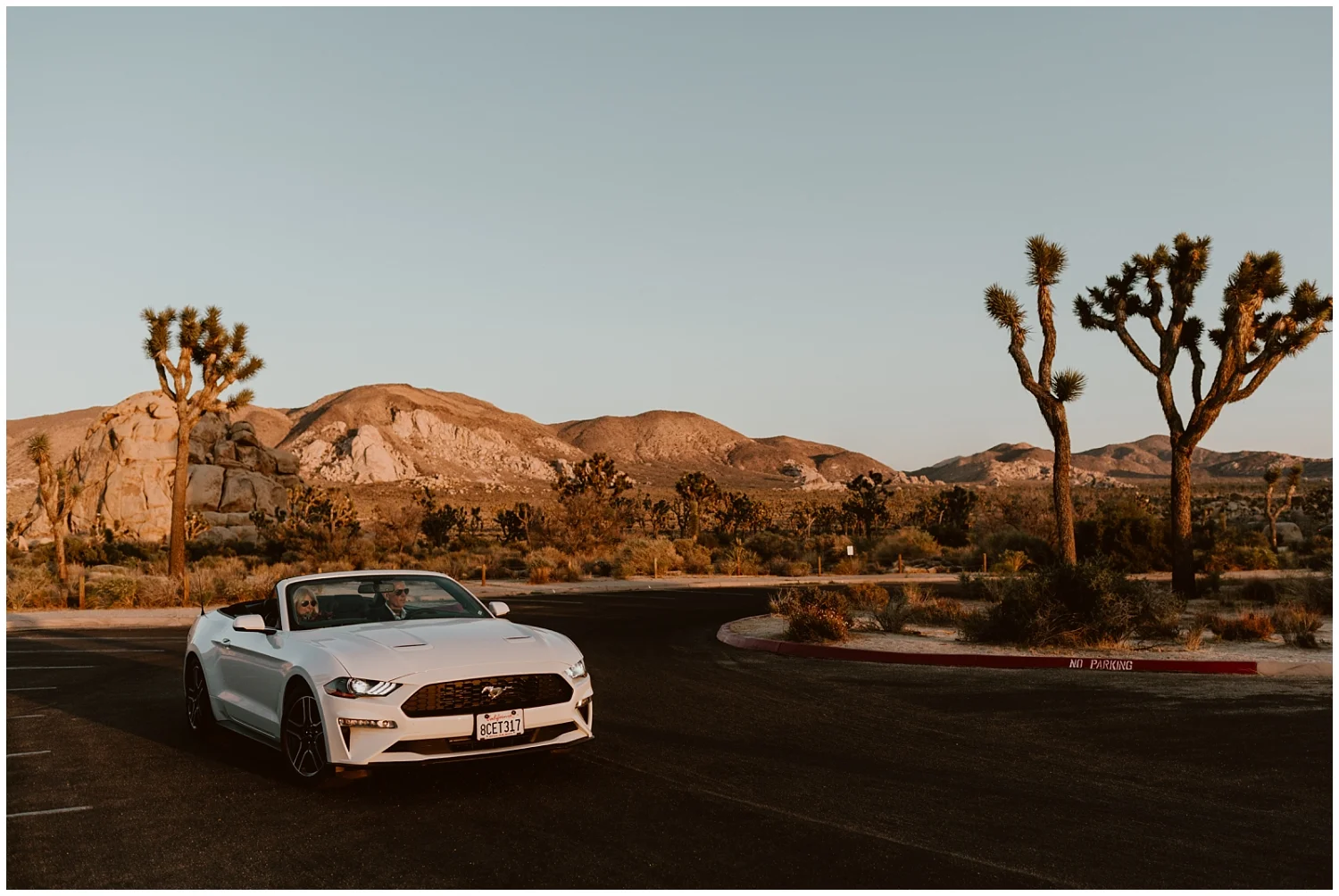 Joshua-Tree-Elopement-0044.jpg