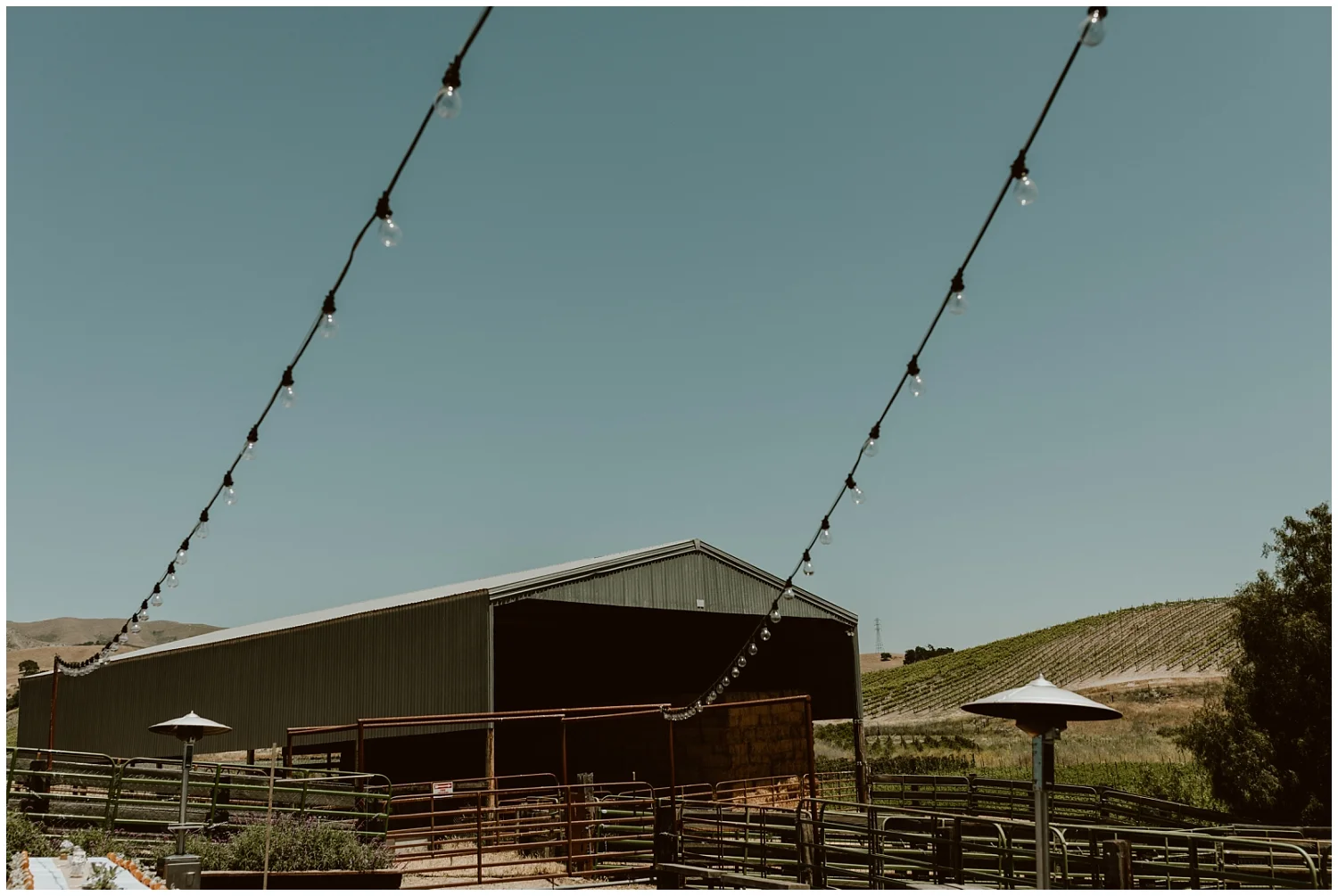 Spreafico-Farms-Wedding-San-Luis-Obispo-0001.jpg