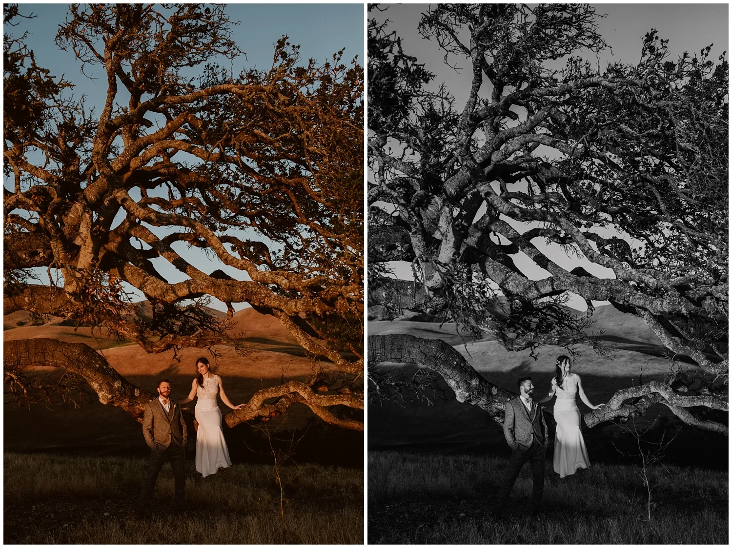 Spreafico-Farms-Wedding-San-Luis-Obispo-0133.jpg