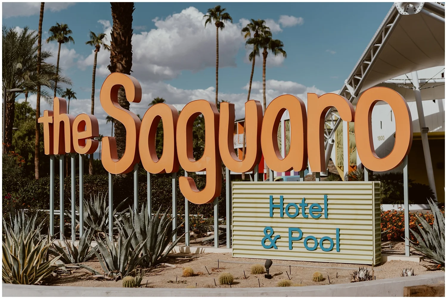 The-Saguaro-Palm-Springs-Wedding-0001.jpg