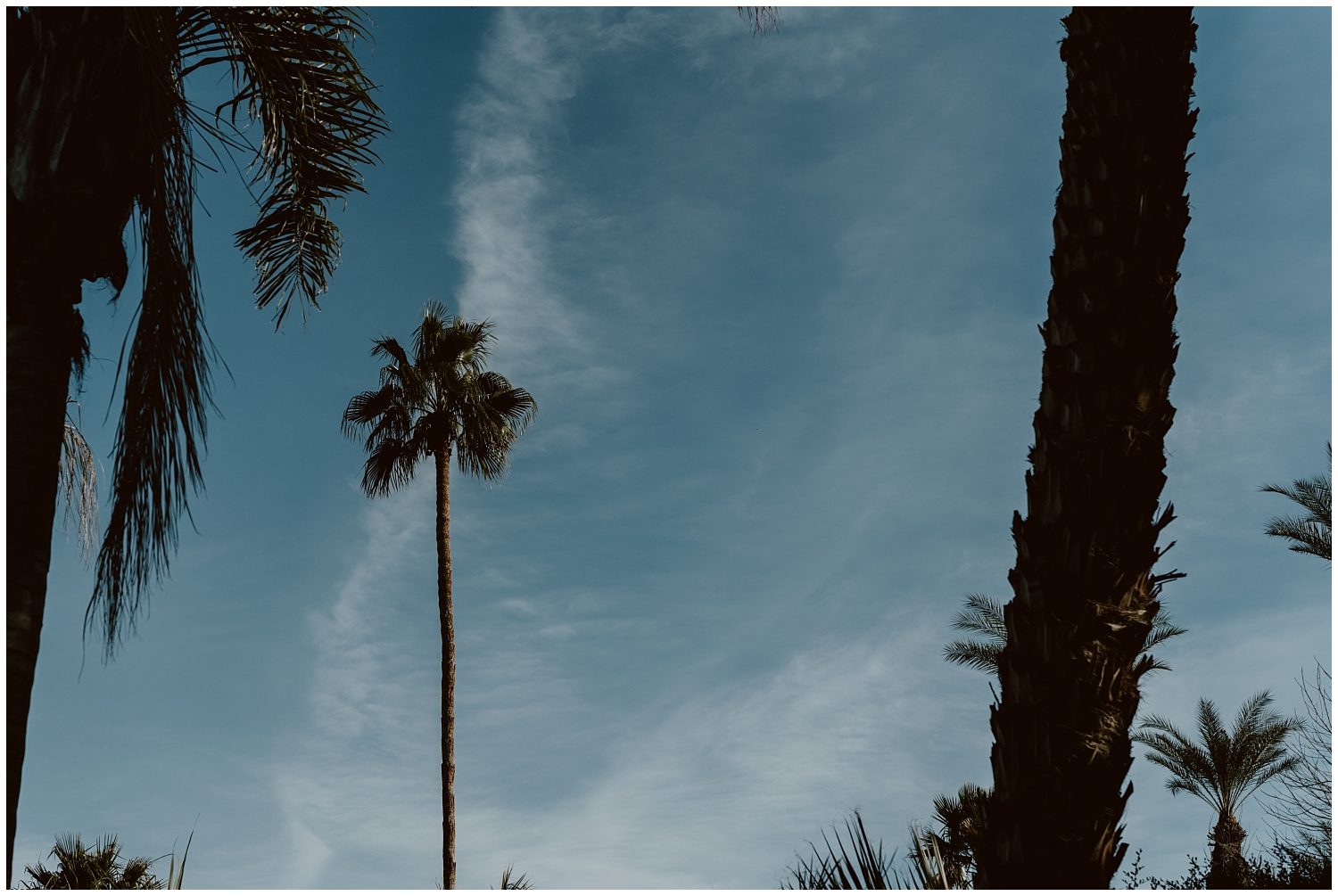 Cree-Estate-Palm Springs-Wedding-0015.jpg