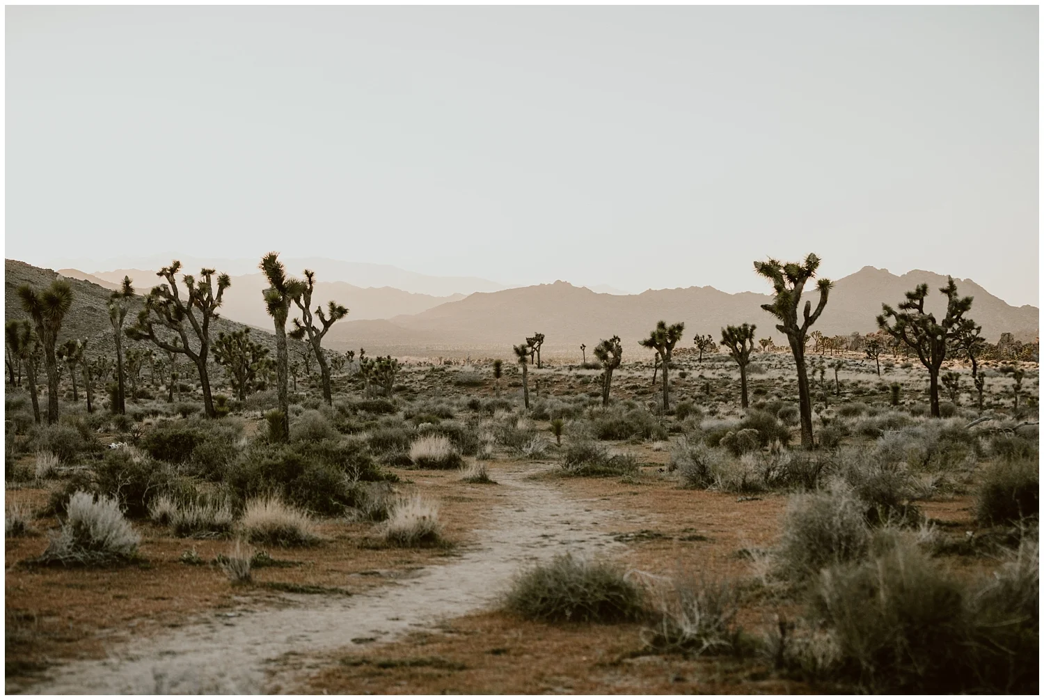 Joshua-Tree-Elopement-0058.jpg