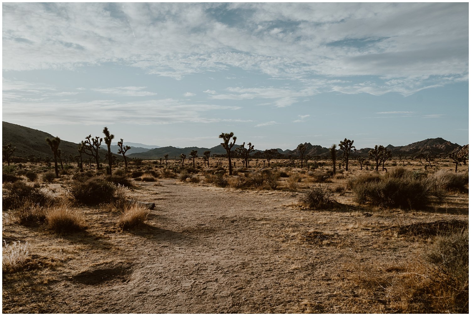 Joshua-Tree-Elopement 0001.jpg