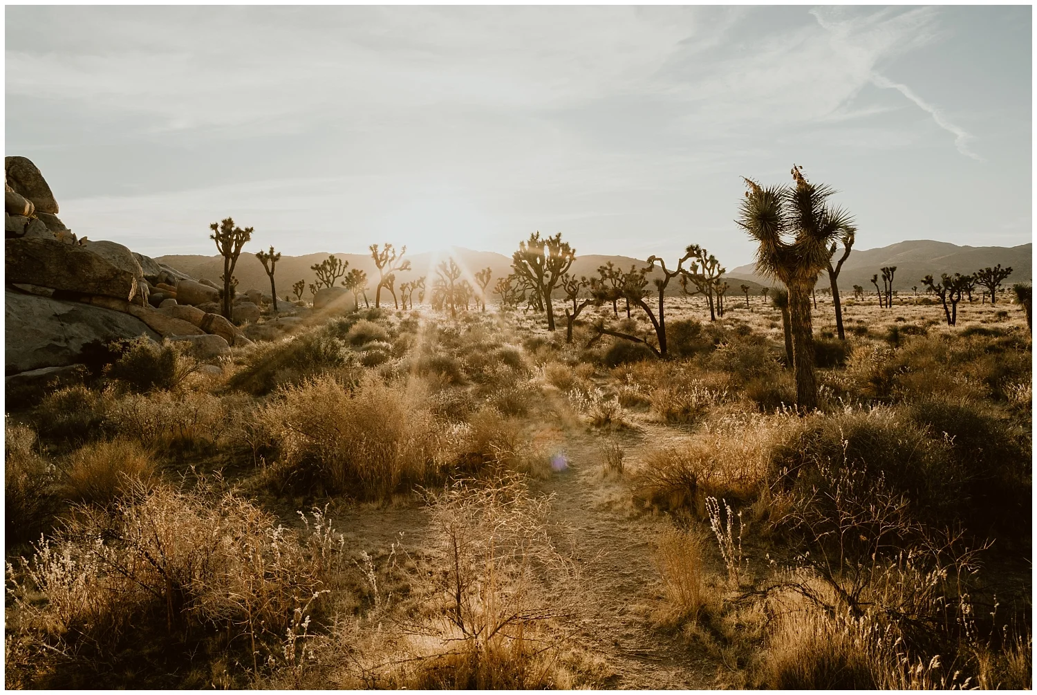 LGBTQ-Joshua-Tree-Elopement 0044.jpg
