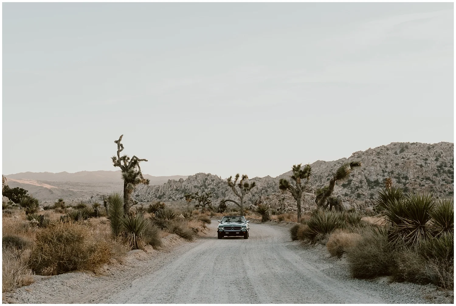 LGBTQ-Joshua-Tree-Elopement 0046.jpg