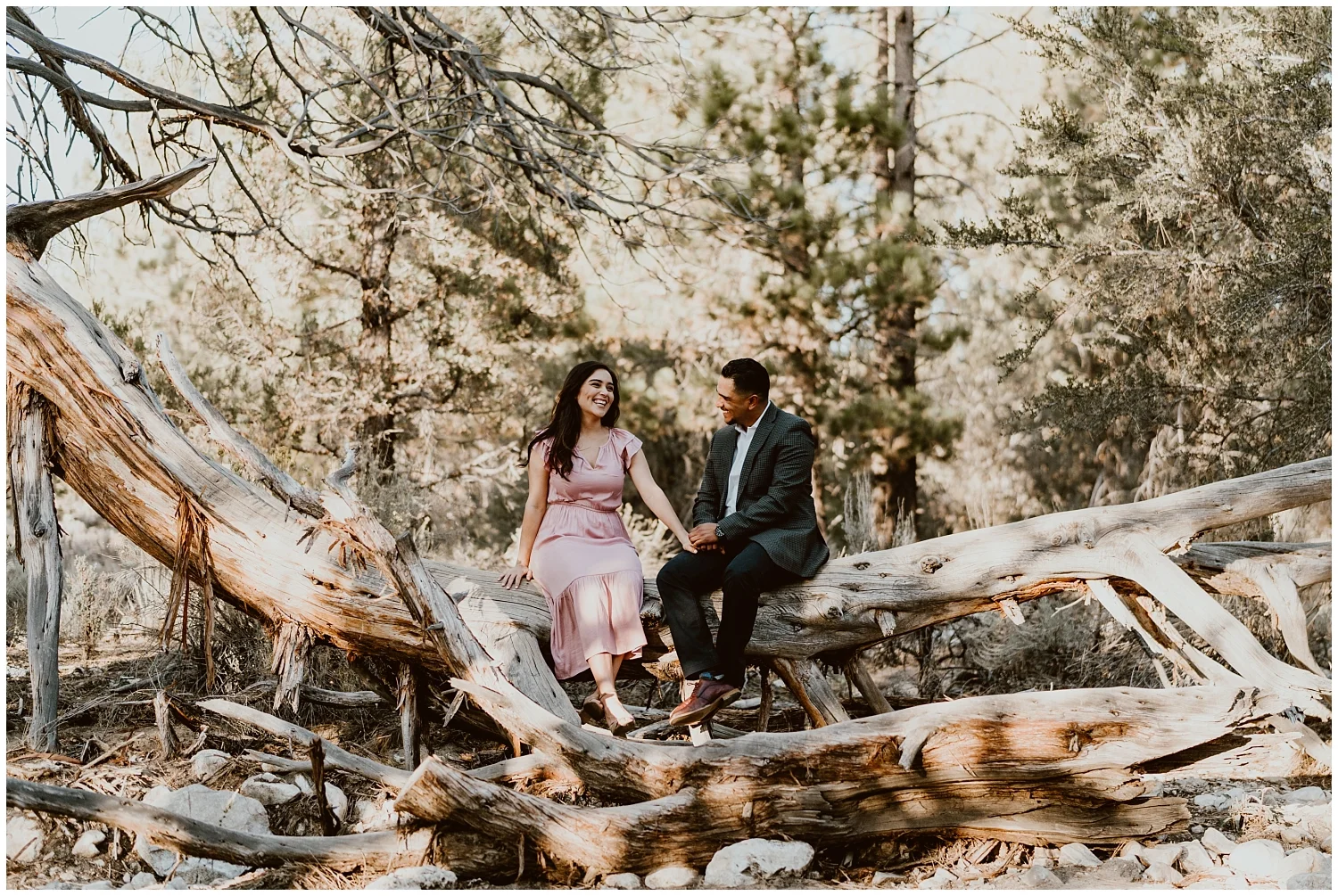 Big-Bear-Lake-Engagement-Session 0009.jpg