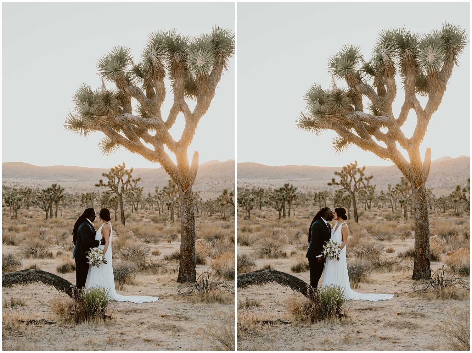 Joshua-Tree-Elopement 0068.jpg
