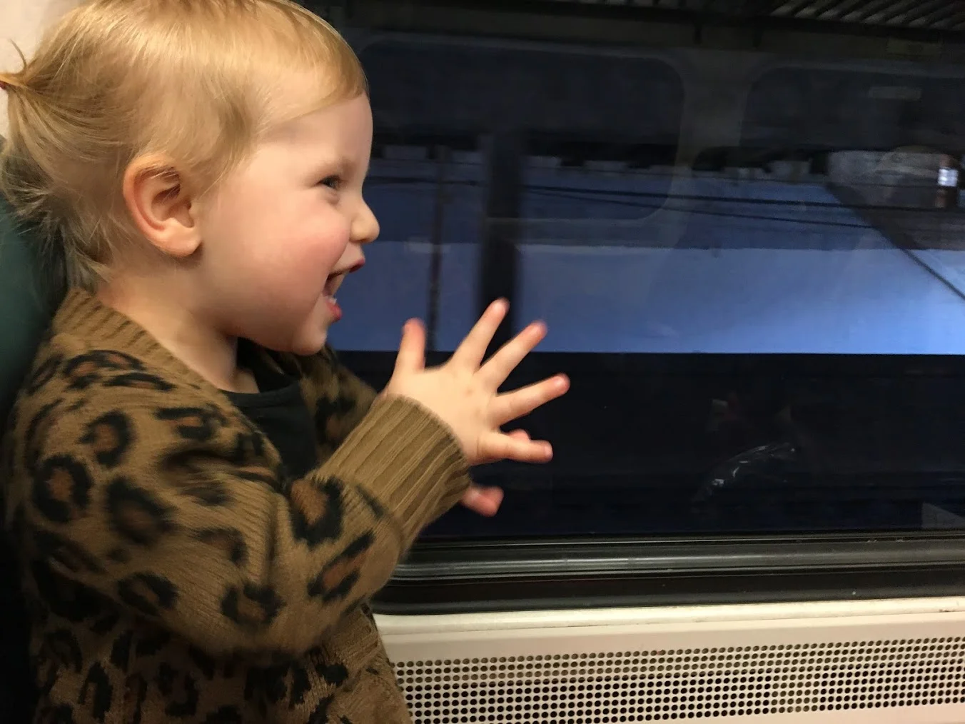 Toddlers and Parenting