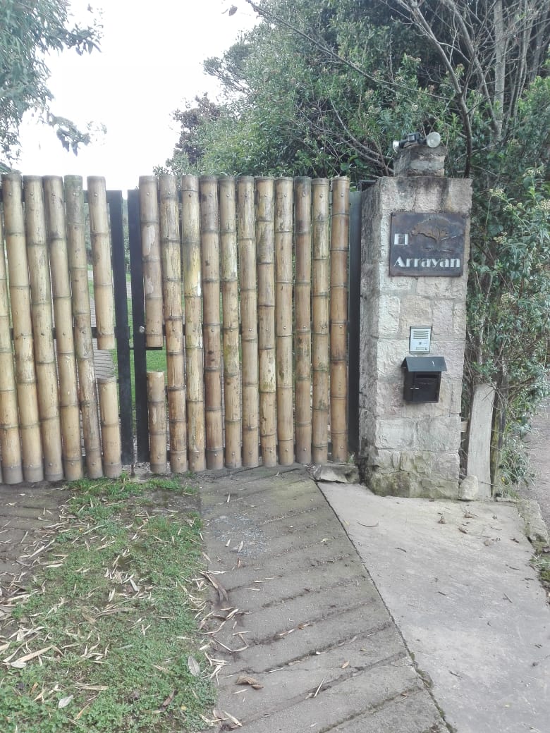 el arrayan.jpeg