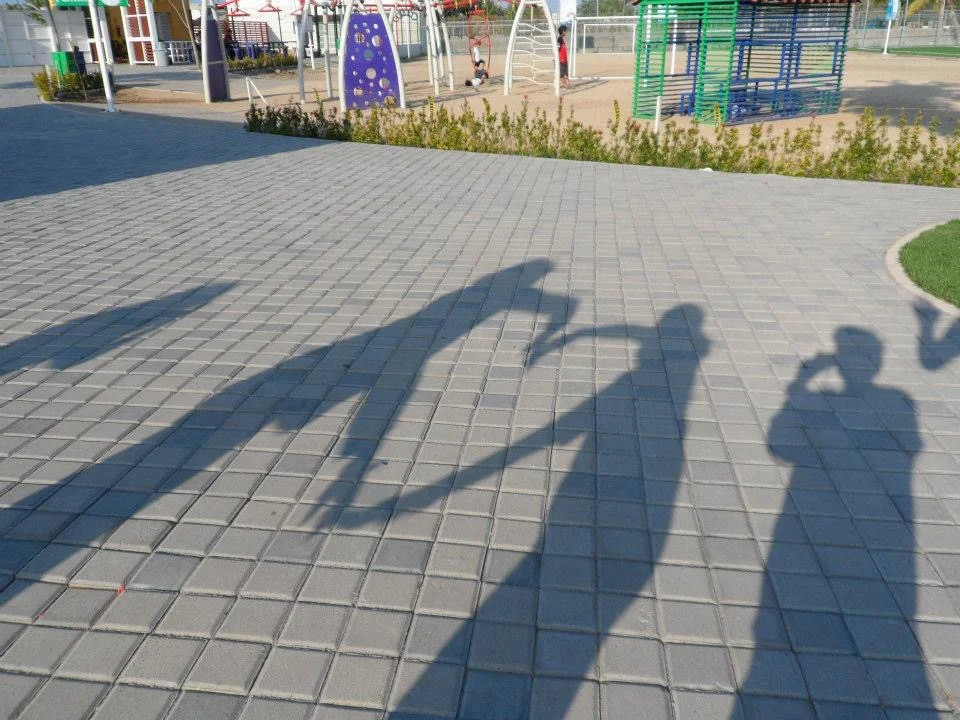 295502_414997561923361_966718515_n.jpg