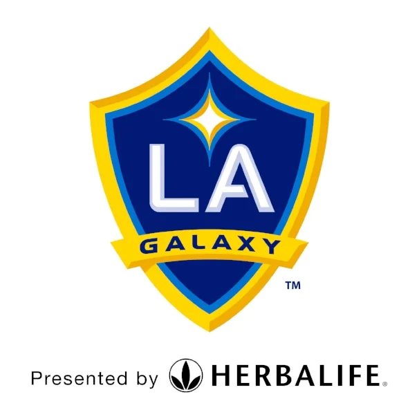 2016 LA Galaxy_black-01.jpg