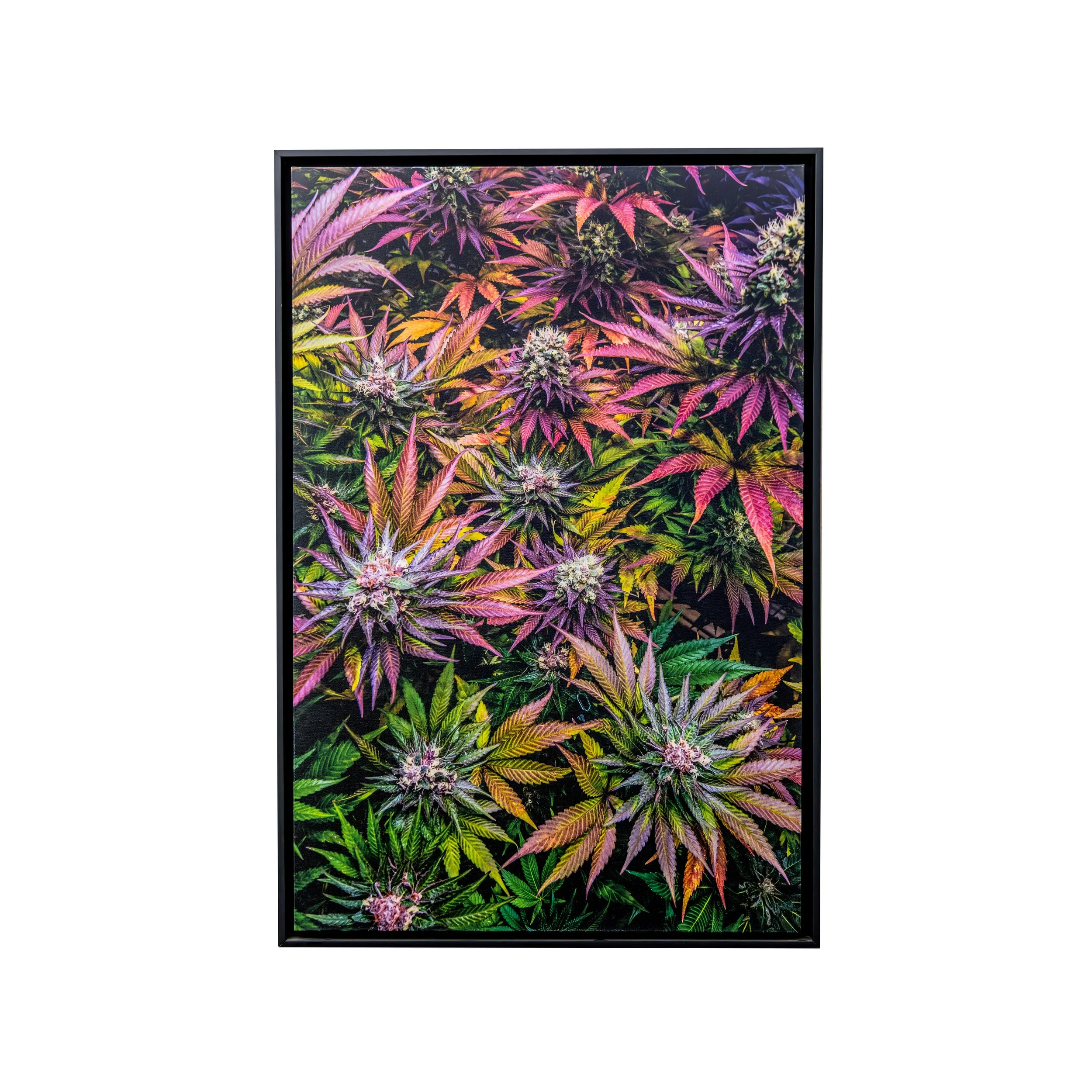 Canvas Prints_20251022_120936.jpg