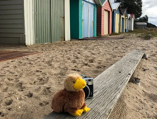 Admiring the views in front of the Dromana beach boxes.